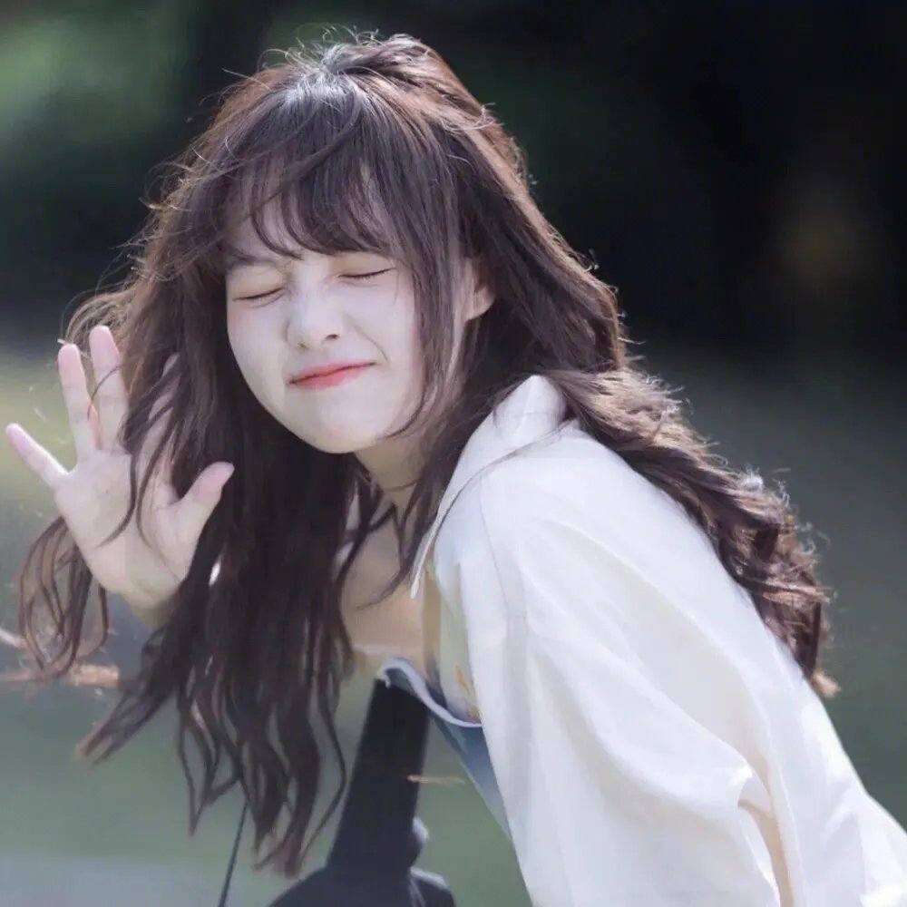 罗斯托夫的野兽